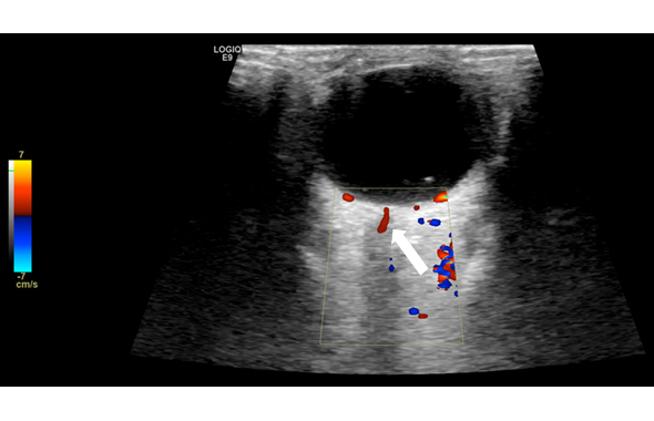 FIgure2_NL NL Figure 2