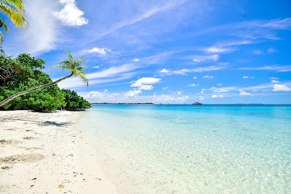 pexels-asad-photo-maldives-457882 Klein